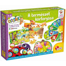 Carotina A természet körforgása kézségfejlesztő játékkészlet