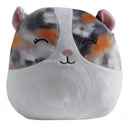 Squishmallows 20 cm - Pax a hörcsög